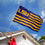 College Flags & Banners Co. Louisiana State LSU Tigers Stars and Stripes Nation Flag - 757 Sports Collectibles