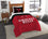 The Northwest Company Officially Licensed NBA Chicago Bulls Reverse Slam Full/Queen Comforter and 2 Sham Set , Red - 757 Sports Collectibles