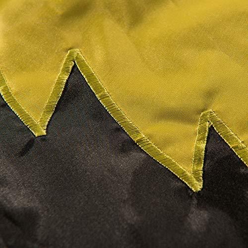 College Flags & Banners Co. Iowa Embroidered and Stitched Nylon Flag - 757 Sports Collectibles