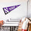 College Flags & Banners Co. Northwestern University Pennant Full Size Felt - 757 Sports Collectibles