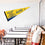 College Flags & Banners Co. North Carolina A&T Pennant Full Size Felt - 757 Sports Collectibles