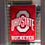 College Flags & Banners Co. Ohio State Buckeyes Garden Flag - 757 Sports Collectibles