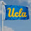College Flags & Banners Co. Bruins Wordmark Flag Large 3x5 - 757 Sports Collectibles