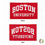 Desert Cactus Boston University Flag Terriers BU Flags Banners 100% Polyester Indoor Outdoor 3x5 (Style 1) - 757 Sports Collectibles