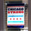 Sports Flags Pennants Company Chicago Strong USA Garden Flag - 757 Sports Collectibles