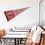 Wisconsin Badgers Pennant Throwback Vintage Banner - 757 Sports Collectibles