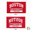 Desert Cactus Boston University Flag Terriers BU Flags Banners 100% Polyester Indoor Outdoor 3x5 (Style 3) - 757 Sports Collectibles