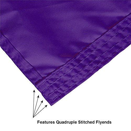 College Flags & Banners Co. Texas Christian Horned Frogs State of Texas Flag - 757 Sports Collectibles