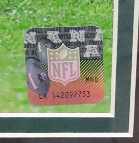 Nick Foles Eagles Super Bowl LII 52 16x20 Inch Photo Framed 131807 - 757 Sports Collectibles