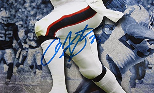 Arian Foster Ben Tate Autographed 16x20 Multi Shot Photo- JSA Authenticated - 757 Sports Collectibles