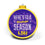 NCAA LSU Tigers 3D Stadium View Ornament, Team Colors, Large - 757 Sports Collectibles