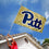 College Flags & Banners Co. Pittsburgh Panthers Gold Flag - 757 Sports Collectibles
