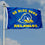 College Flags & Banners Co. Delaware Blue Hens Go Blue Hens Flag - 757 Sports Collectibles