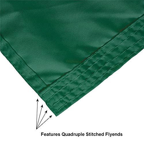 College Flags & Banners Co. Wisconsin Green Bay Phoenix GB Logo Flag - 757 Sports Collectibles