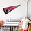 College Flags & Banners Co. MIT Pennant Full Size Felt - 757 Sports Collectibles
