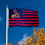 WinCraft St. Louis Cardinals Nation Flag 3x5 Banner - 757 Sports Collectibles