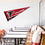 WinCraft Atlanta Falcons Pennant Banner Flag - 757 Sports Collectibles