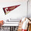 College of Charleston Pennant Full Size Felt - 757 Sports Collectibles