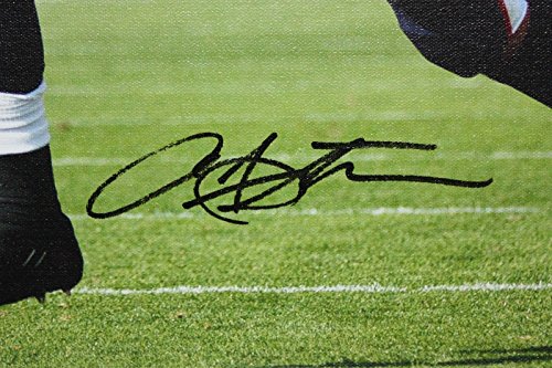 Arian Foster Autographed 20x24 Texans Running Canvas- JSA W Authenticated - 757 Sports Collectibles