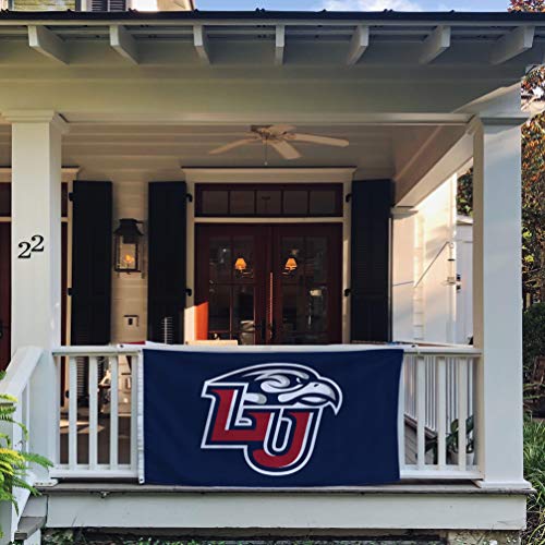 Desert Cactus Liberty University Flag Flames Flags Banners 100% Polyester Indoor Outdoor 3x5 (Style 1) - 757 Sports Collectibles
