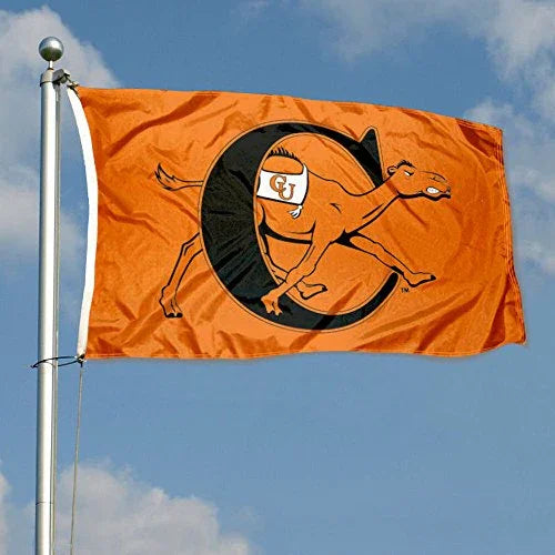 College Flags & Banners Co. Campbell Fighting Camels Flag - 757 Sports Collectibles