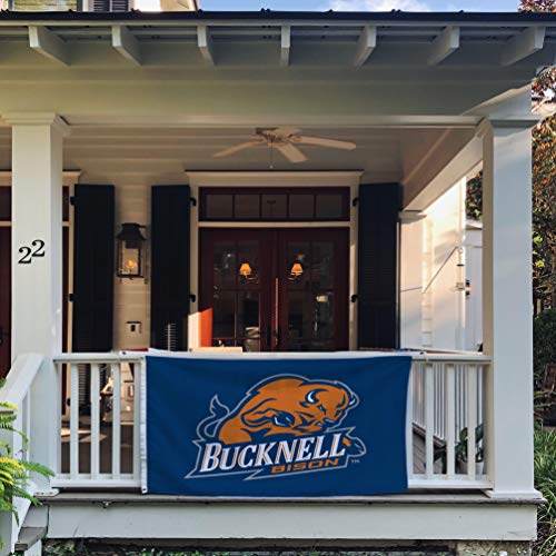 Desert Cactus Bucknell University Flag Bison Flags Banners 100% Polyester Indoor Outdoor 3x5 (Style 1) - 757 Sports Collectibles