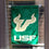 USF Bulls Garden Flag and Yard Banner - 757 Sports Collectibles