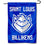 College Flags & Banners Co. St. Louis Billikens New Logo Garden Flag - 757 Sports Collectibles