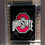 OSU Buckeyes Black Garden Flag and Yard Banner - 757 Sports Collectibles