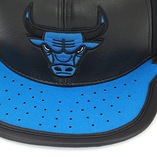 Mitchell & Ness Chicago Bulls Jordan Day ONE Snapback NBA Hat - Black/Royal - 757 Sports Collectibles