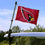 WinCraft Arizona Cardinals Boat and Golf Cart Flag - 757 Sports Collectibles