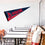 College Flags & Banners Co. Duquesne Dukes Pennant Full Size Felt - 757 Sports Collectibles