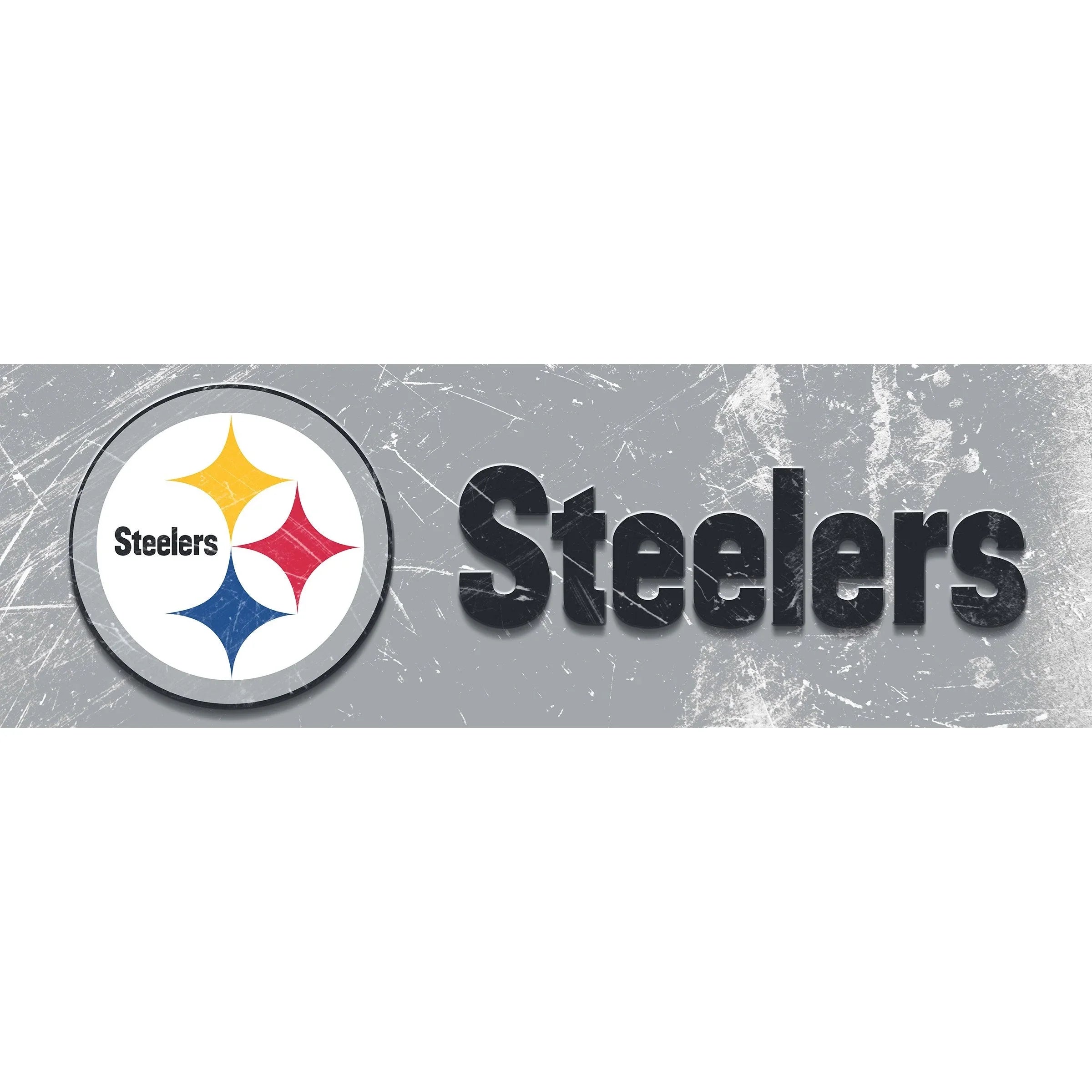 Pittsburgh Steelers 16 x 48 Glass Wall Art Team Name