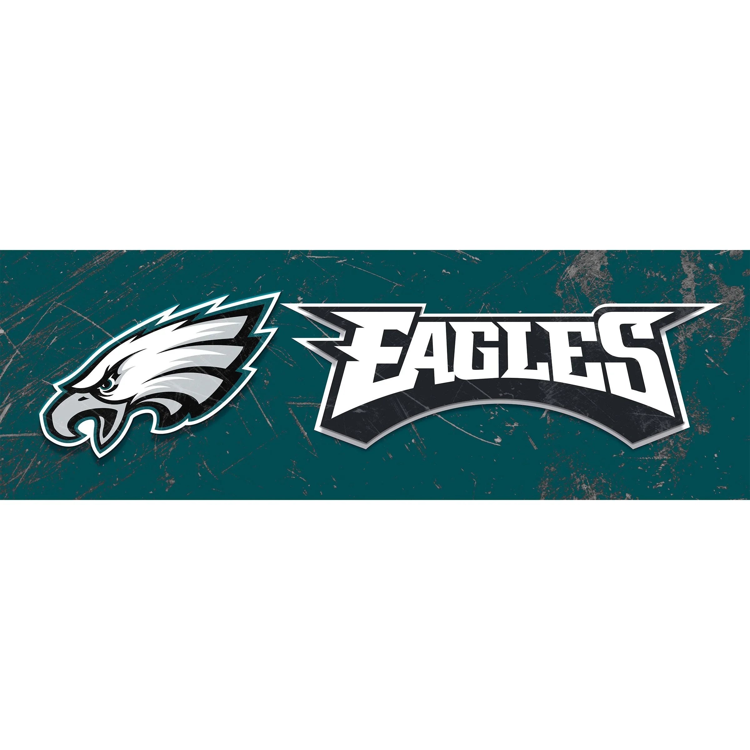 Philadelphia Eagles 16 x 48 Glass Wall Art Team Name