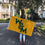 Desert Cactus College of William & Mary Flag Tribe W&M Flags Banners 100% Polyester Indoor Outdoor 3x5 (Style 1) - 757 Sports Collectibles