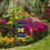 College Flags & Banners Co. Michigan Wolverines Mini Garden and Flower Pot Flag Topper - 757 Sports Collectibles