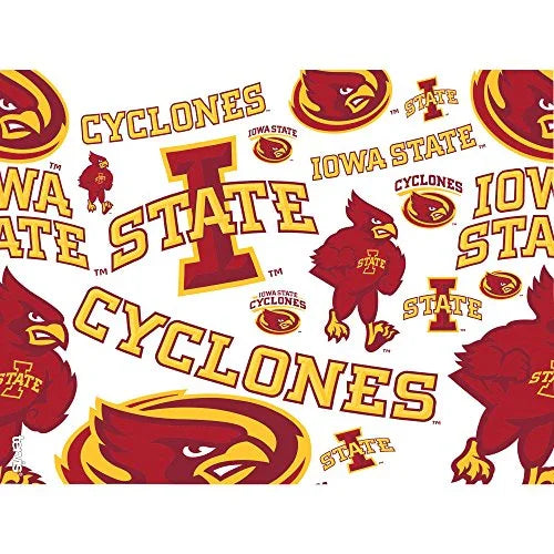 Tervis Made in USA Double Walled Iowa State University ISU Cyclones Insulated Tumbler Cup Keeps Drinks Cold & Hot, 24oz, All Over - 757 Sports Collectibles