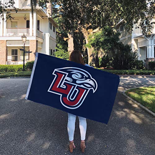 Desert Cactus Liberty University Flag Flames Flags Banners 100% Polyester Indoor Outdoor 3x5 (Style 1) - 757 Sports Collectibles