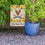 Rico Industries NCAA Virginia Cavaliers Sunflower Spring Personalized Garden Flag - 757 Sports Collectibles