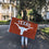 Desert Cactus University of Texas Flag Longhorns UT Austin Flags Banners 100% Polyester Indoor Outdoor 3x5 (Style 4) - 757 Sports Collectibles