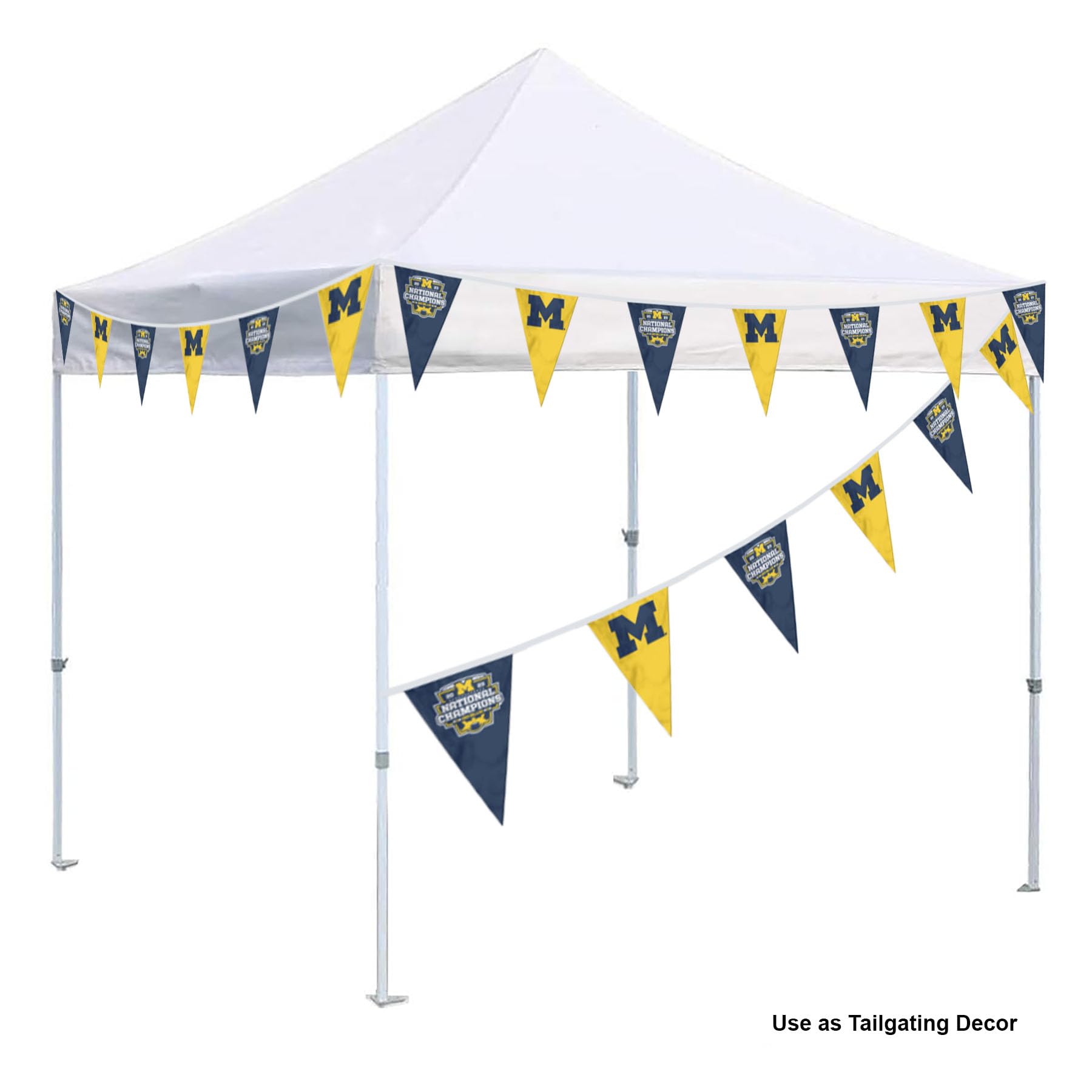 Michigan Team University Wolverines 2023 College Football National Champions Pennant String Flags - 757 Sports Collectibles
