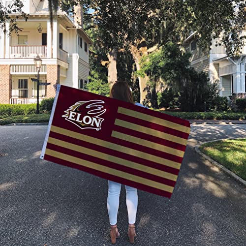 Desert Cactus Elon University Flag Phoenix Flags Banners 100% Polyester Indoor Outdoor 3x5 (Nation) - 757 Sports Collectibles