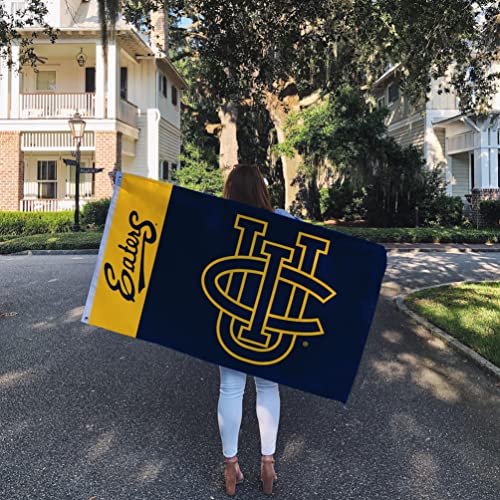 Desert Cactus University of California Irvine Flag Flags Banners 100% Polyester Indoor Outdoor 3x5 (Team Name) - 757 Sports Collectibles