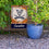 Rico Industries NCAA Virginia Cavaliers Fall/Harvest 13" x 18" Double Sided Garden Flag - 757 Sports Collectibles