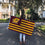 Desert Cactus Central Michigan University Flag CMU Chippewas Flags Banners 100% Polyester Indoor Outdoor 3x5 (Nation) - 757 Sports Collectibles