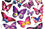 Tervis Butterfly Passion Tumbler with Wrap and Royal Purple Lid 16oz, Clear - 757 Sports Collectibles