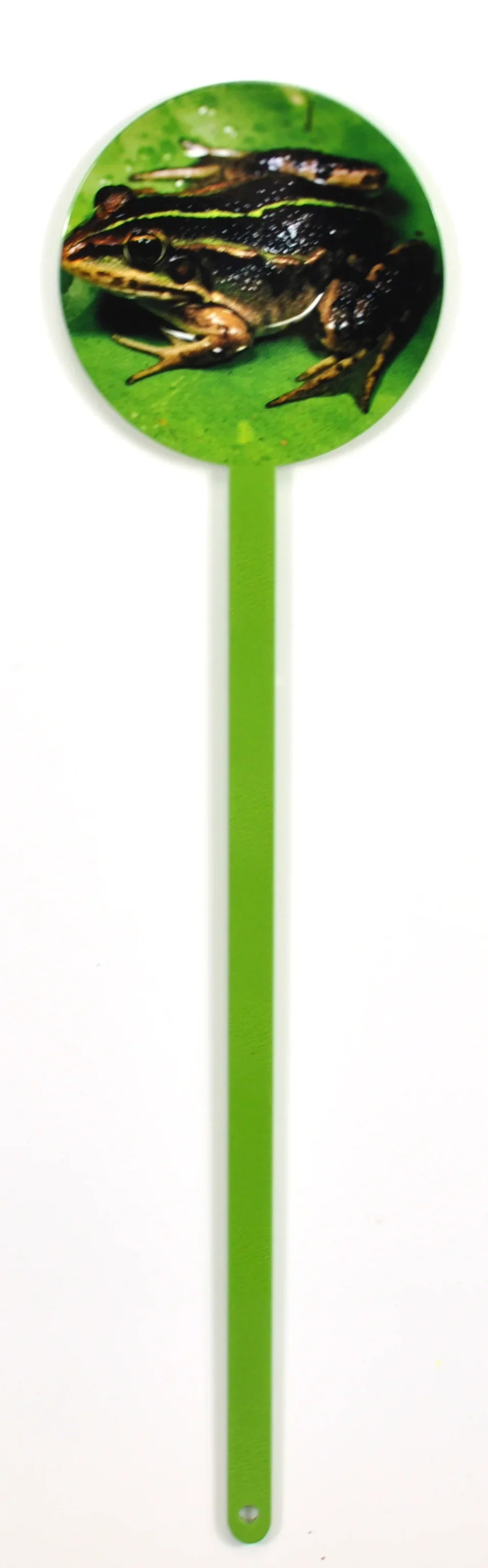 Garden Friends Laser Cut Steel Garden Stake- Frog