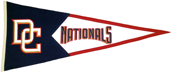 Washington Nationals MLB Pennant Wool