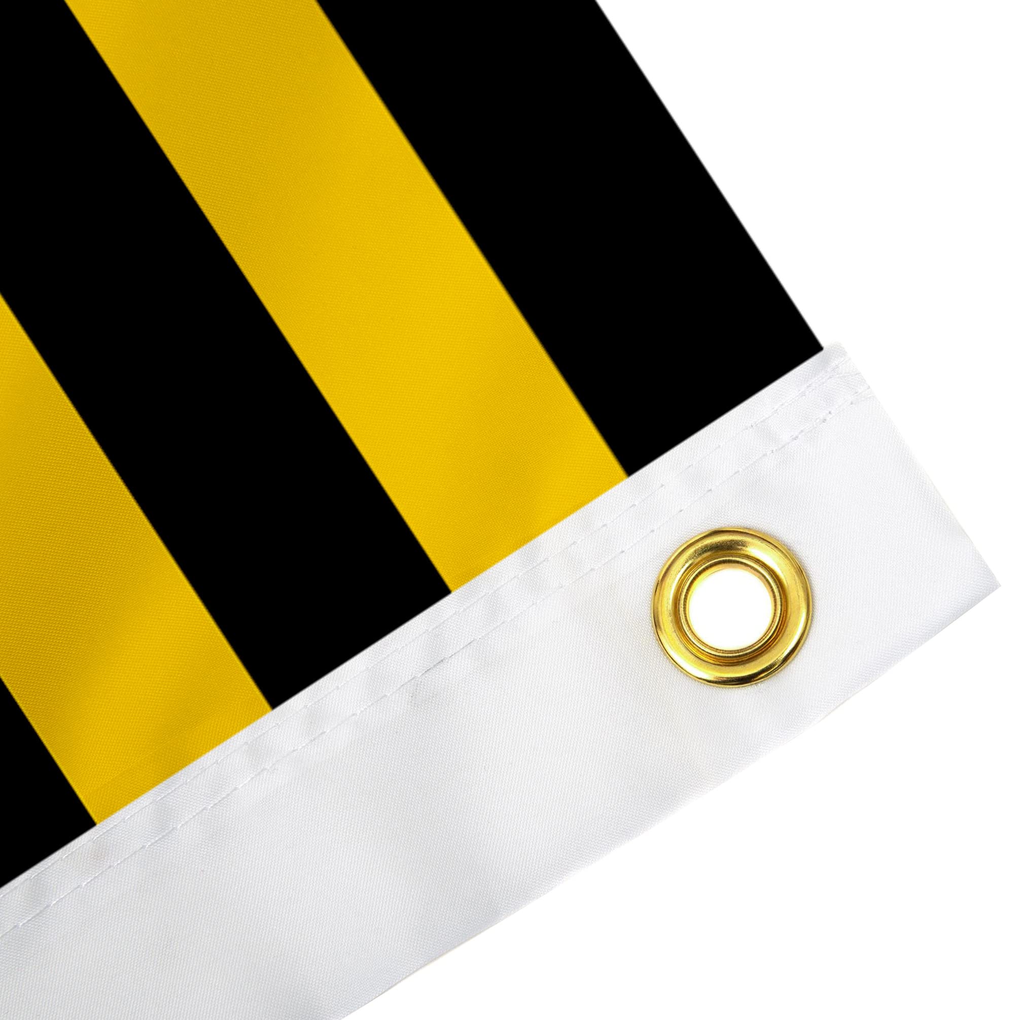 Desert Cactus University of Iowa Flag Hawkeyes Flags Banners 100% Polyester Indoor Outdoor 3x5 (Nation) - 757 Sports Collectibles
