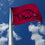 Rico Industries NCAA Arkansas Razorbacks Flag 3' x 5' Banner Flag - Single Sided - Indoor or Outdoor - Home Décor Made - 757 Sports Collectibles